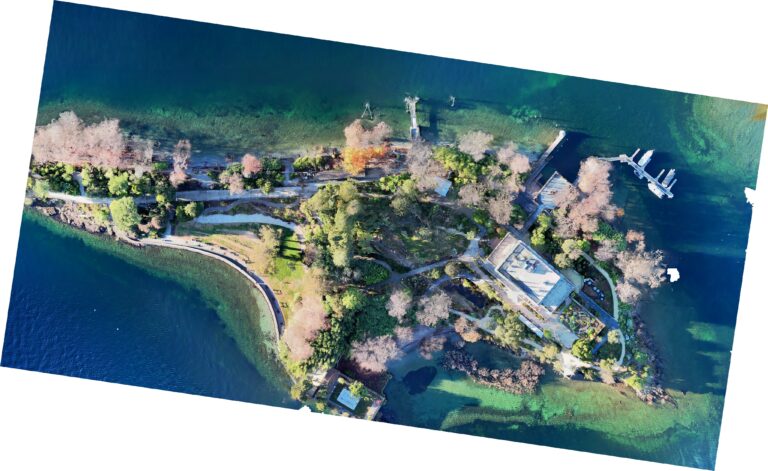 Ortomosaico isole Brissago sul lago